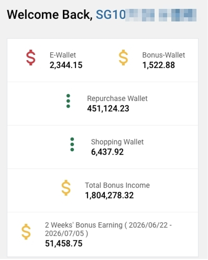 新加坡团队两周奖金收入后台截图